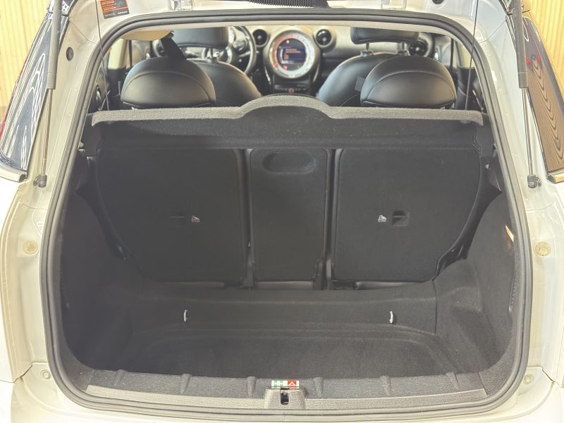 MINI MINI 2012