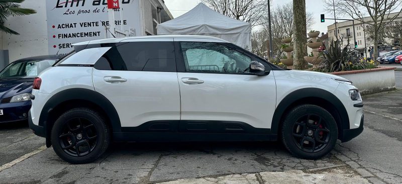 CITROËN C4 CACTUS 2019