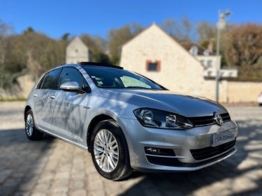 VOLKSWAGEN GOLF CUP  2015
